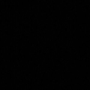 Meet your Posher, Ricky